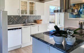 Fridge, stovetop, dishwasher, coffee/tea maker