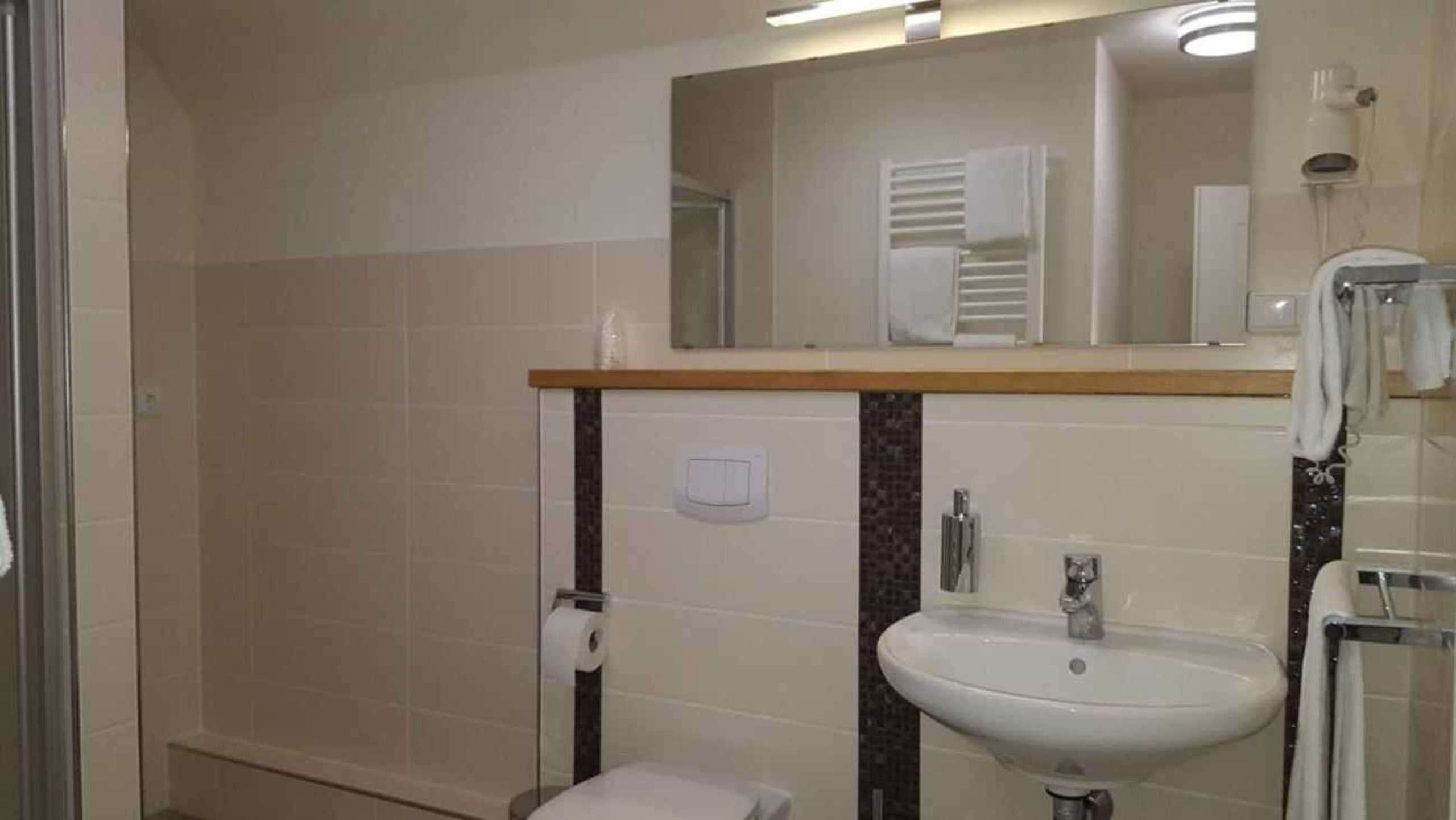 A bathroom with a toilet, sink, and mirror.