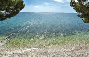 Ein freier Blick auf einen Kiesstrand, der zu einem ruhigen Meer führt, gerahmt von Bäumen.