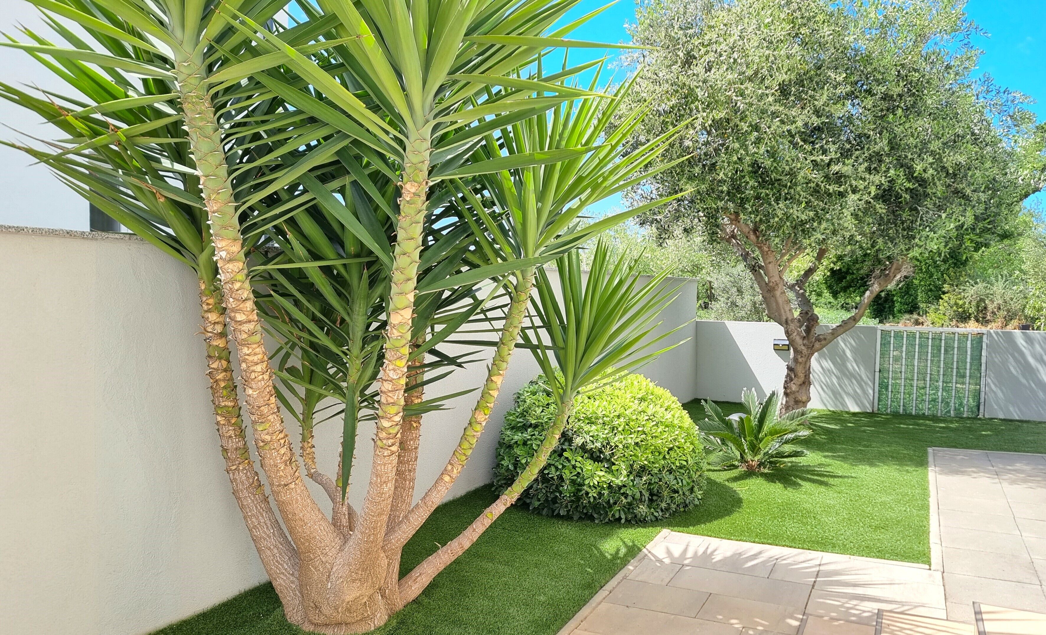 Áreas de la propiedad