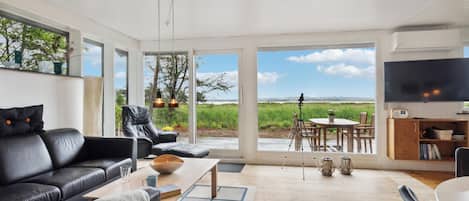 TV, fireplace, DVD player