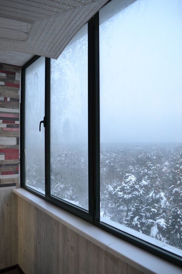 View from property - Zhukovsky apartment (Zhukovsky)