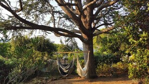 A hammock hanging from a tree in a natural setting. - 3-room apartment 75m², 2 terraces, direct access to calanques, WIFI, private parking (Cavalaire-sur-Mer)