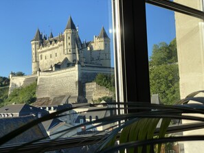 Interior - 3000 sq f, in the old  Saumur city , along the Loire river. Charm & great views (Saumur)