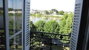 Interior - 3000 sq f, in the old  Saumur city , along the Loire river. Charm & great views (Saumur)