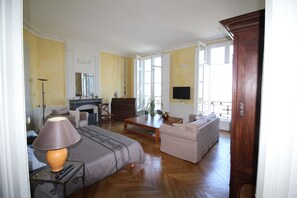 Télévision, cheminée, lecteur de DVD, livres