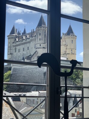 Interior - 3000 sq f, in the old  Saumur city , along the Loire river. Charm & great views (Saumur)