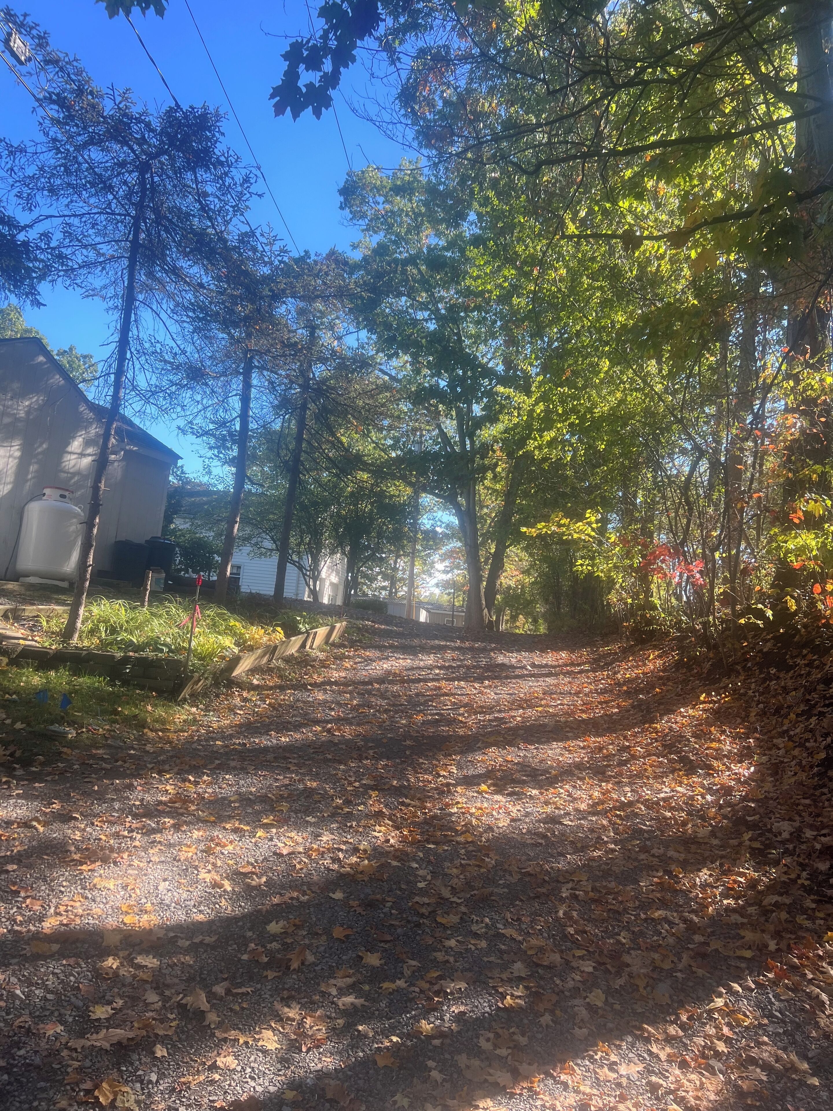 Área da propriedade