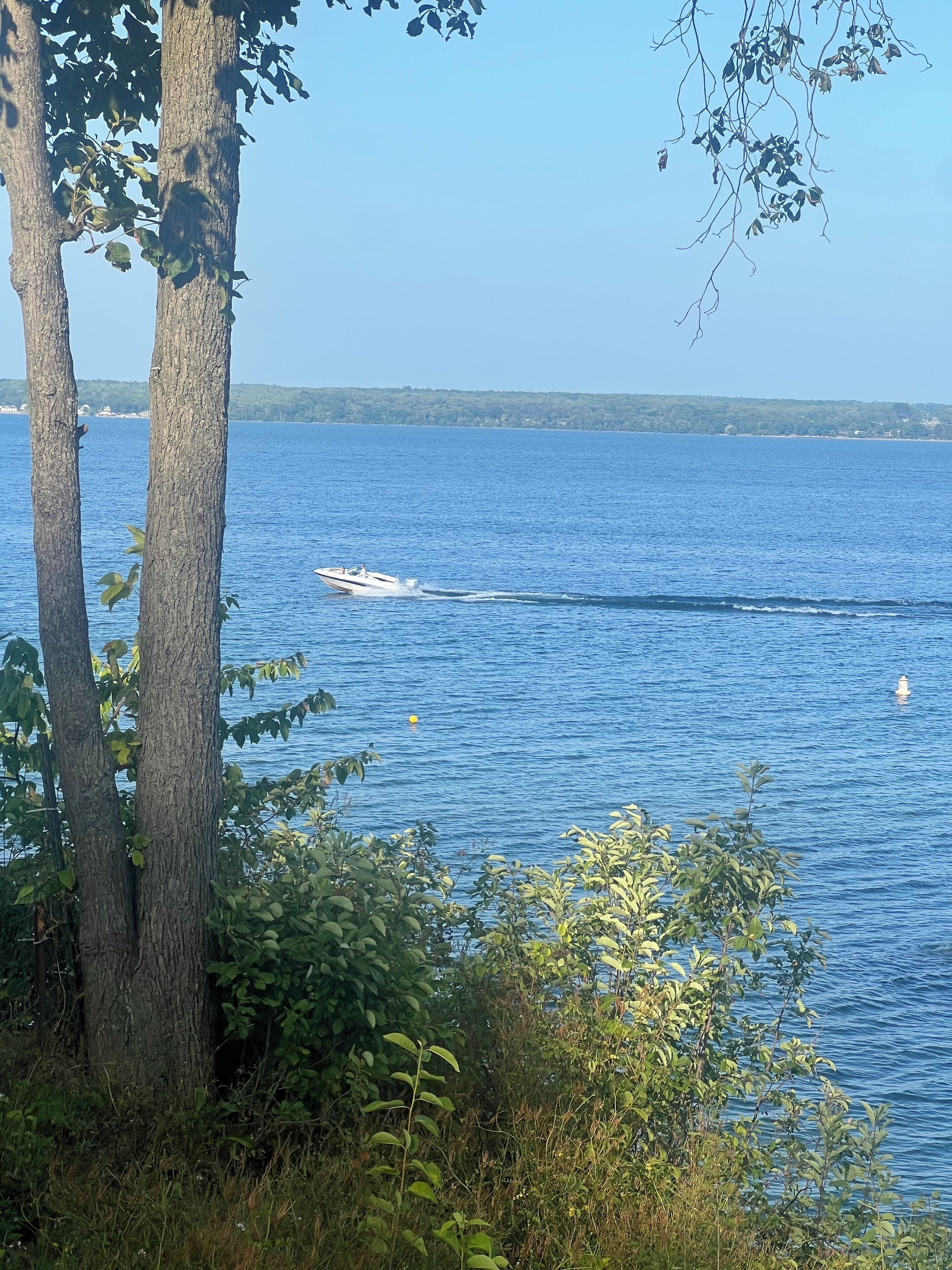 A body of water with a boat, trees, and a distant shoreline.