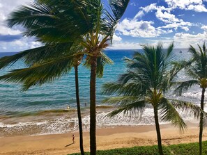 Una platja amb palmeres i l'oceà.