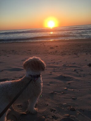 Una playa cerca, sillas reclinables de playa