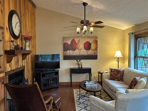 Smart TV, chimenea, reproductor de DVD y tenis de mesa 