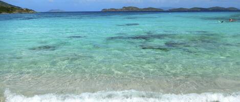 Plage, chaises longues, serviettes de plage