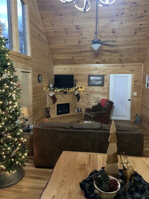 Smart TV, fireplace, video games, DVD player