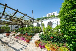 Junior-suite - terrasse - havudsigt | Terrasse/gårdhave