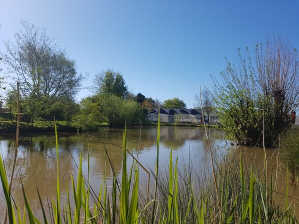 Lake - Sycamore Farm Park Ltd (Skegness)