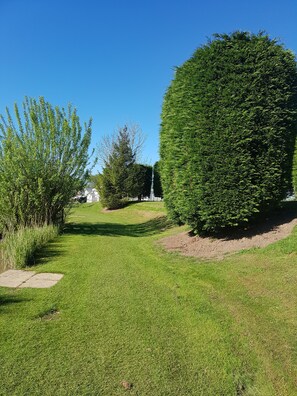 Garden - Sycamore Farm Park Ltd (Skegness)