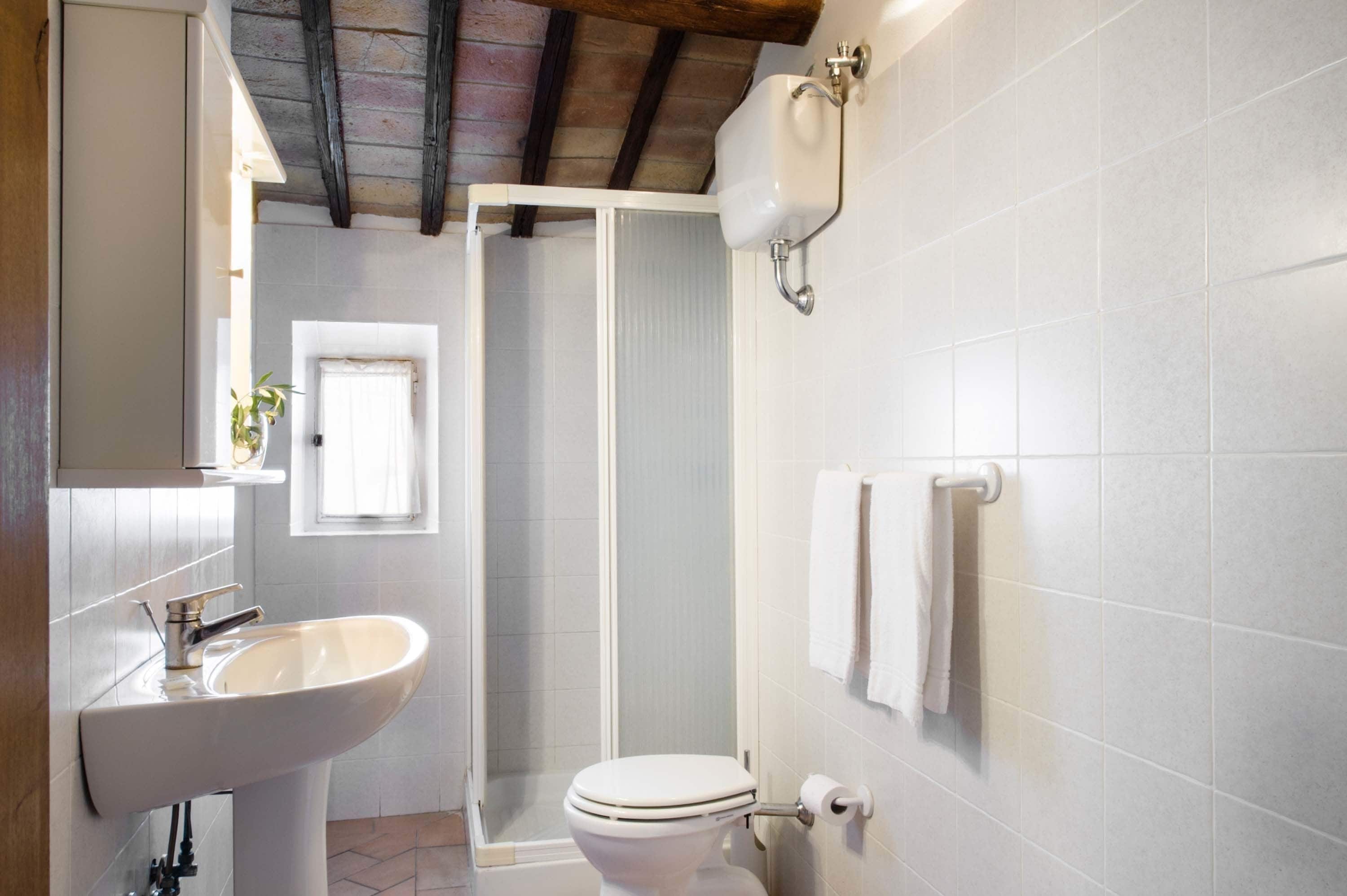 A bathroom with a white sink, toilet, and shower. There is a window with a plant on the wall and a towel rack.