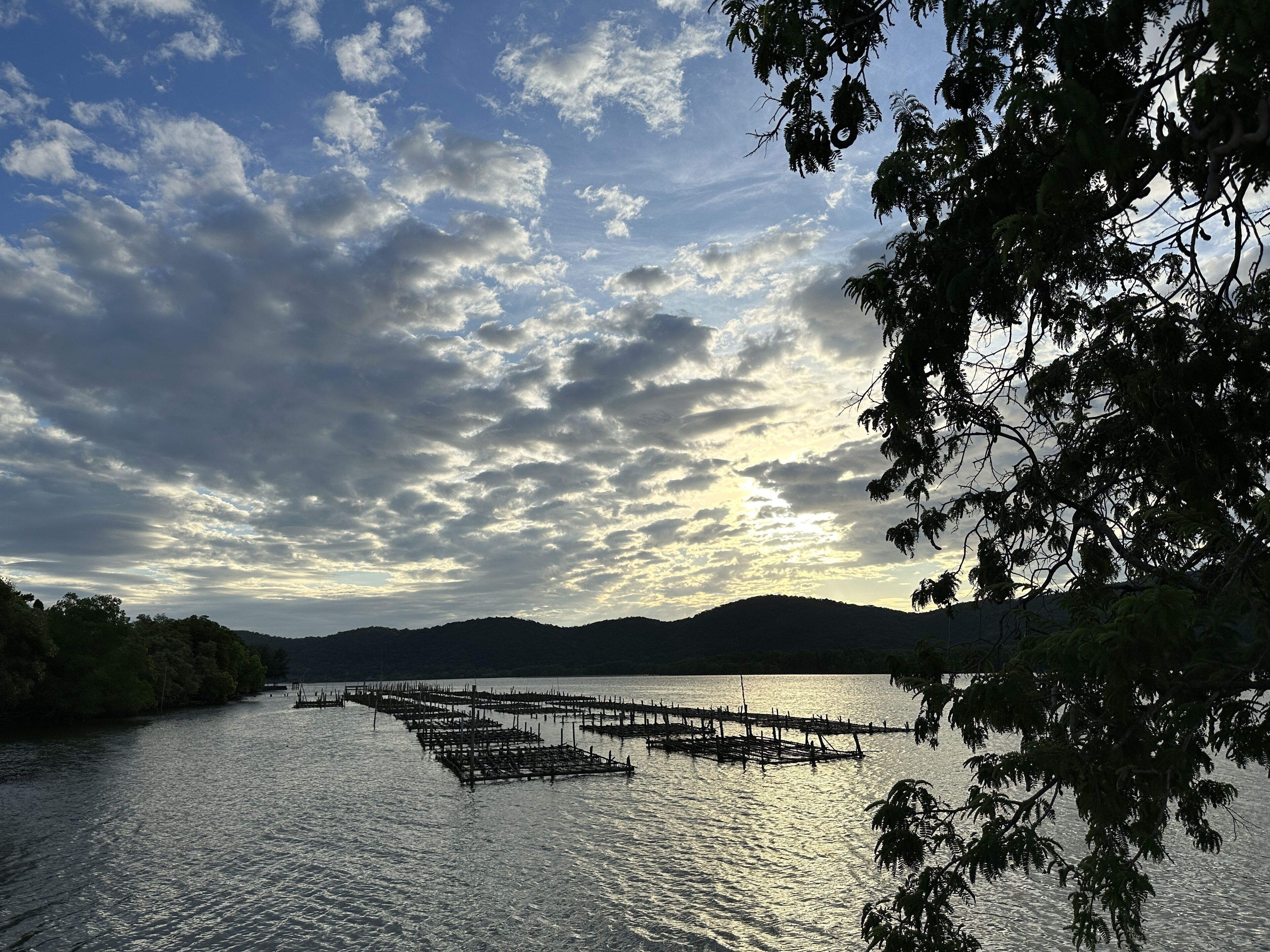 Vue depuis l’hébergement
