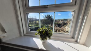 Une fenêtre donnant sur un paysage, une plante posée sur le rebord de la fenêtre et une grille d’aération en dessous.