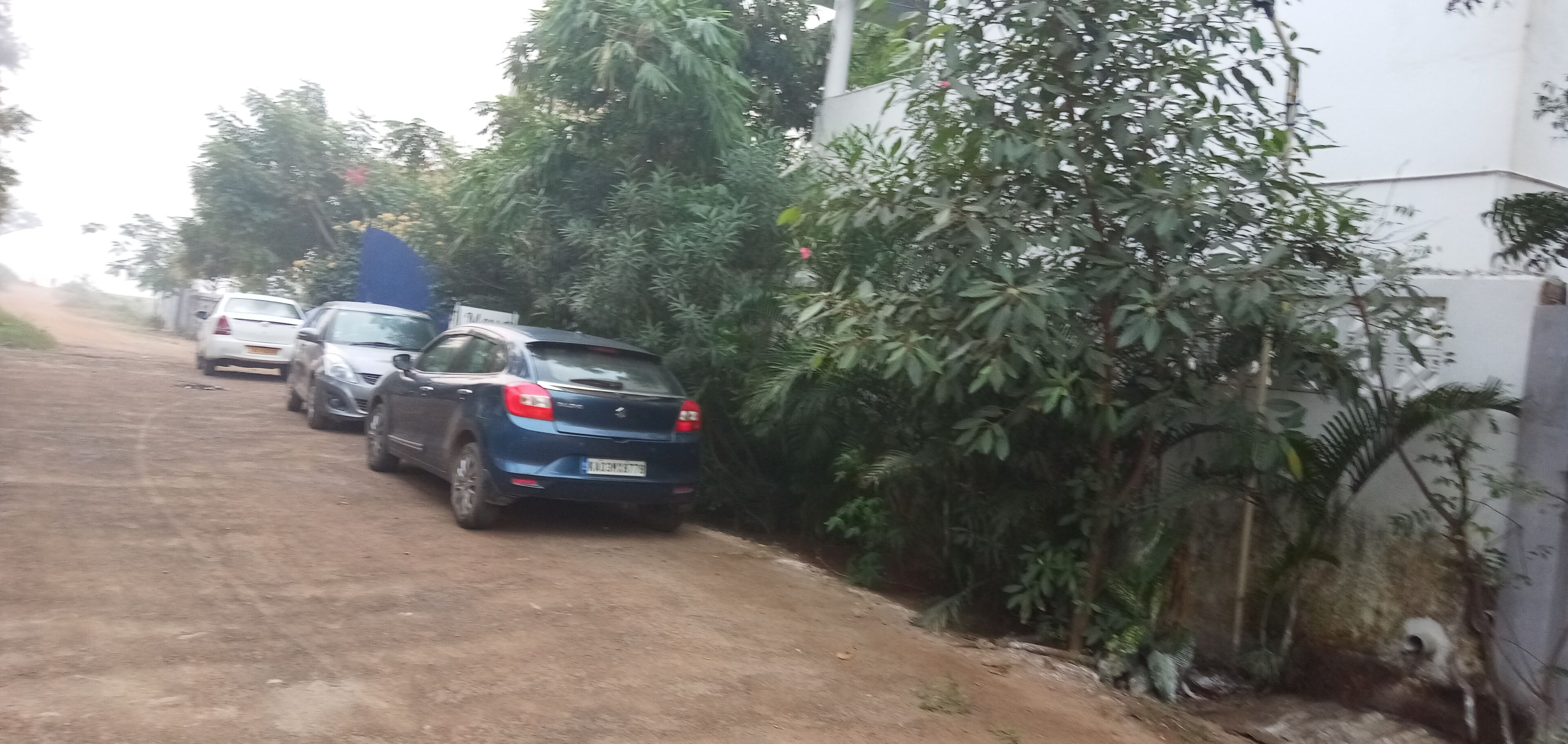 A dirt road with parked cars and dense vegetation along the roadside.