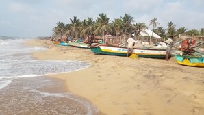 A beach with several boats lined up along the shore, palm trees in the background, and the ocean waves gently crashing onto the sand. - Meya Beach Walk Hotel (Tirukalukundram)