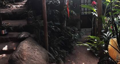 Pousada Magia da Mata