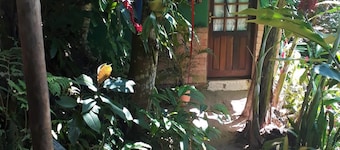 Pousada Magia da Mata
