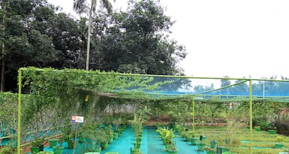 Ayur Bethaniya Ayurveda Hospital