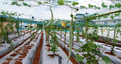 Ayur Bethaniya Ayurveda Hospital