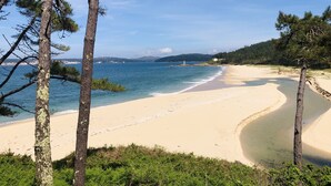 Una playa con aguas cristalinas, orilla de arena y árboles.