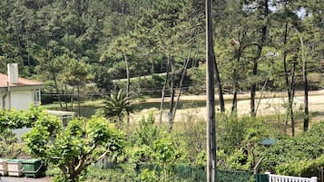 Double Room, 1 Bed (Terrace and View) | Lake view