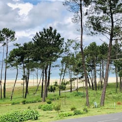 Vue sur la plage/l’océan