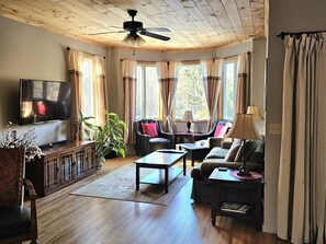 Smart TV, fireplace, DVD player, books