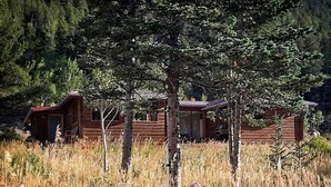 A rustic cabin with a wooden exterior, surrounded by tall grass and wildflowers, set in a forested area.