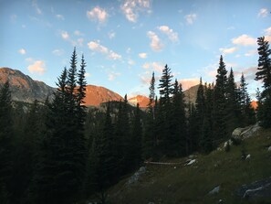 Un paysage montagneux, avec une végétation dense de conifères et un ciel dégagé.