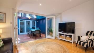 TV connectée, cheminée, lecteur de DVD, livres