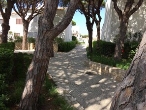 Un sentier pavé de pierres, bordé d’arbres et de murs de pierre, mène à un bâtiment aux murs et aux fenêtres blancs.
