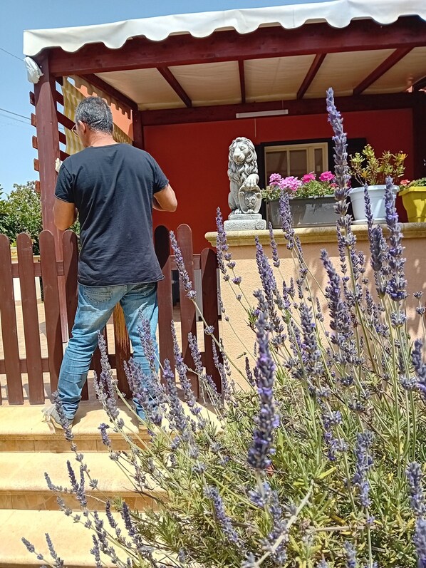 A man walking towards a house with a red exterior, a stone lion statue, and lavender plants in the foreground.