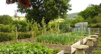 4 Star Exceptional Cosy Cottage