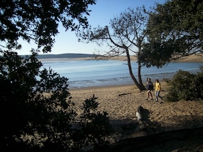 A beach scene with two people walking, a dog, and trees in the foreground.