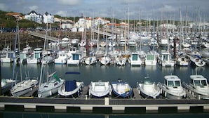 A marina with numerous boats docked, a wooden walkway, and buildings in the background.