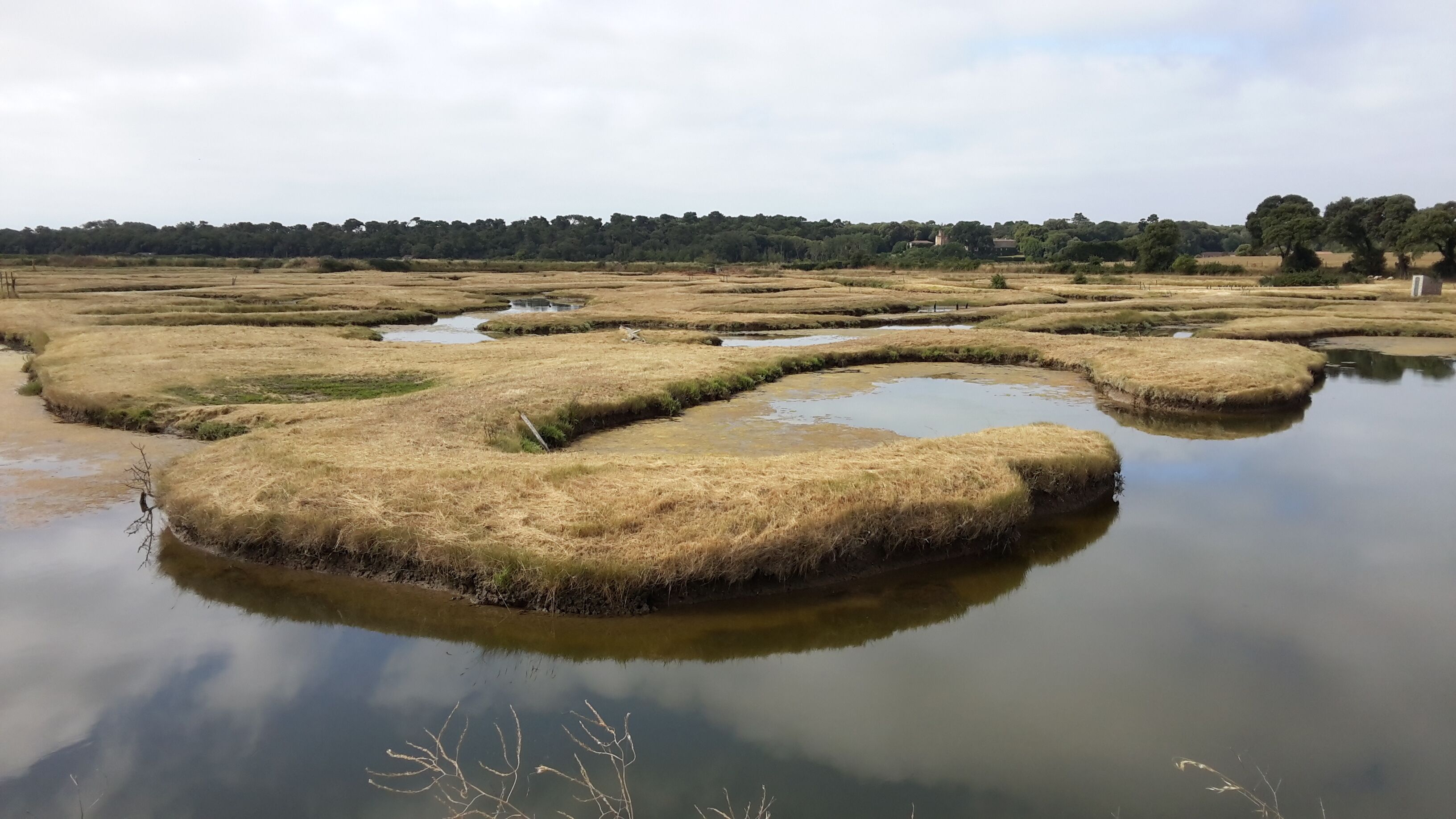 Een landschap met een reeks watergangen en grasoevers.