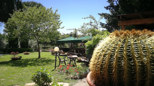A garden patio with a cactus, chairs, and a table. - Extra privacy, Dog-friendly, Family-friendly, Unspoiled nature, VerdeMare Beggi (Casale marittimo)