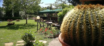 Intimité supplémentaire, Ami des chiens, Enfants spéciaux, Nature préservée, Mer