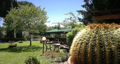 Extra privacy, Dog friend, Special Children, Unspoiled nature, Sea