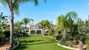 A modern two-story house with a well-maintained lawn and tropical landscaping.