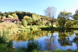 Property grounds - Upscale country house with beh. Whirlpool sauna, In/Outdoor playground/priv. Lake (Neuschönau)