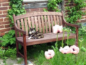 Imagen sin descripción, 3 de 10, botón