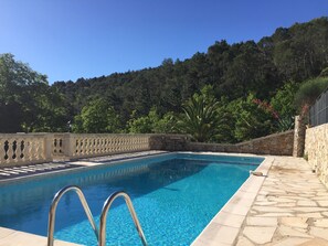 Ein rechteckiger Pool mit Steinrand und Metallleiter.